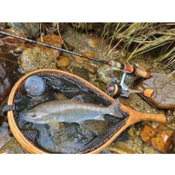 スピアヘッド リュウキ45S デュオ