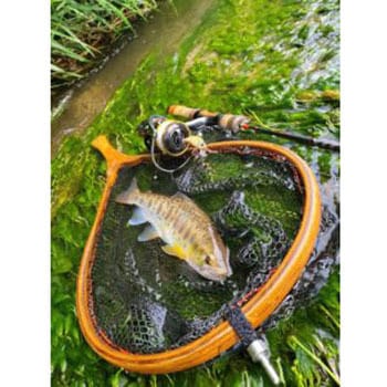 スピアヘッド リュウキ45S デュオ