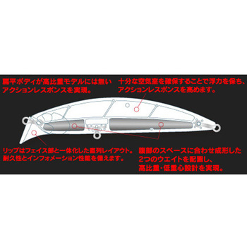 ビーチウォーカー アクシオン95S デュオ