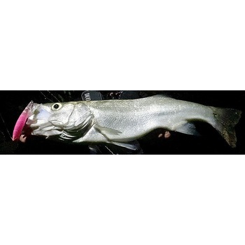 タイドミノー スリム140フライヤー デュオ