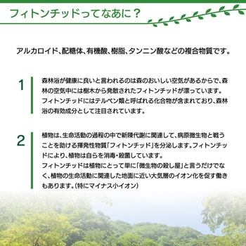 SP009 消臭剤 抗菌エアコンプロ  スペースグウッズ 昭和商会