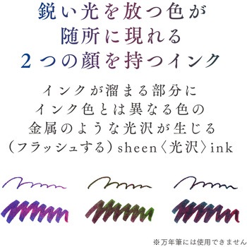 つけペン用 ボトルインク Dipton シーンインク セーラー万年筆