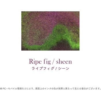 つけペン用 ボトルインク Dipton シーンインク セーラー万年筆
