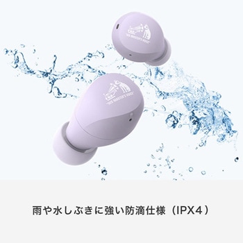 完全ワイヤレスイヤホン HA-A6T Victor