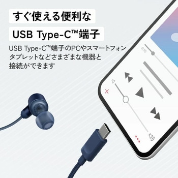 ハイレゾ対応USB Type-Cイヤホン HA-FR29UC Victor