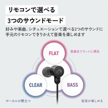 ハイレゾ対応USB Type-Cイヤホン HA-FR29UC Victor