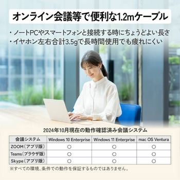 ハイレゾ対応USB Type-Cイヤホン HA-FR29UC Victor