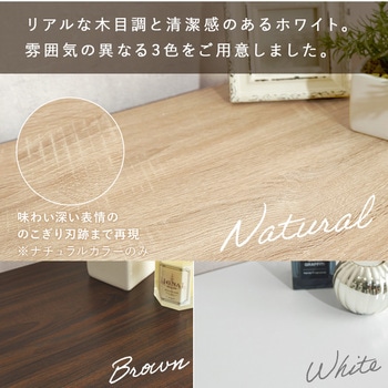 フラット扉シューズラック 幅60cm 萩原