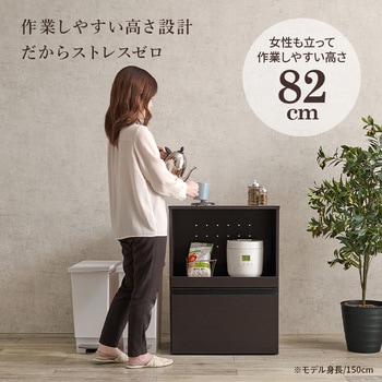 収納力に優れた キッチンカウンター <スリムタイプ 幅60cm> 収納庫タイプ 萩原