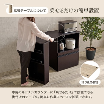 キッチンカウンター 拡張テーブルセット <スリム・収納庫タイプ 幅60cm> 萩原