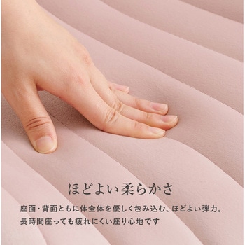 ベロア調×ゴールド脚 シェル型 チェアー 萩原