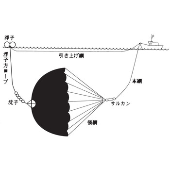 シーアンカー 三谷
