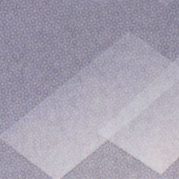 2918COVER �J�o�[�O���X IWAKI(AGC�e�N�m�O���X) 09210756