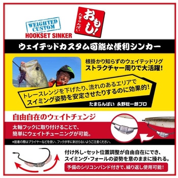 フックセットシンカー おもし! VARIVAS