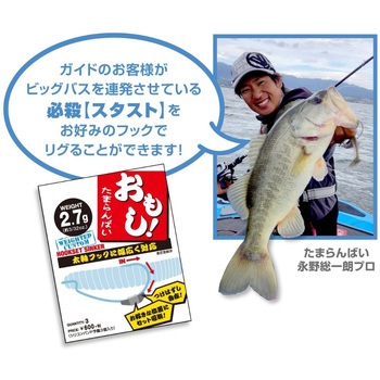 フックセットシンカー おもし! VARIVAS