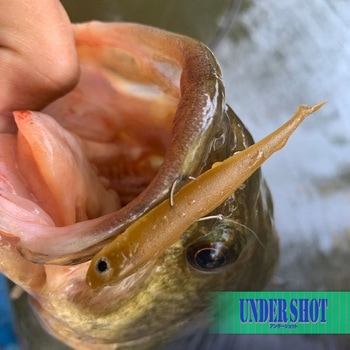 ノガレスアンダーショット - VARIVAS