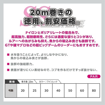 アバニ SSアシストライン 20m VARIVAS