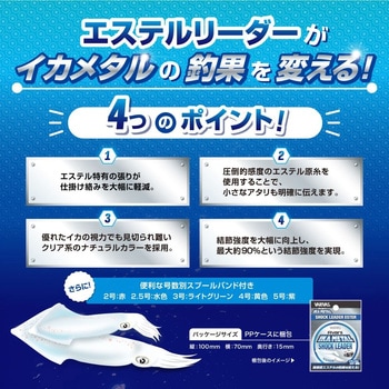 アバニ イカメタル ショックリーダー エステル 30m VARIVAS