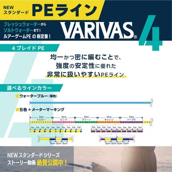 VARIVAS 4 マーキング VARIVAS