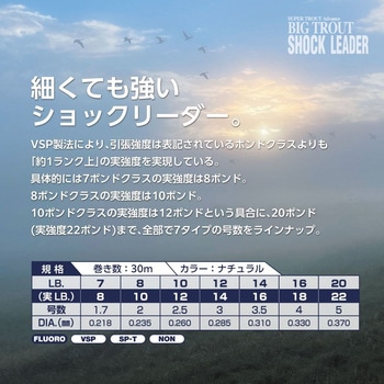 ビッグトラウトショックリーダー VSPフロロ VARIVAS
