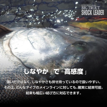 ビッグトラウトショックリーダー VSPフロロ VARIVAS