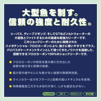 フロロショックリーダー 30m VARIVAS