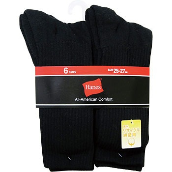 153289 HMS536P6�t�������O�X6P �w�C���Y(Hanes) 09288536