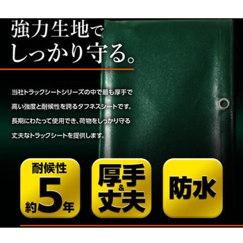 ターピー エステル帆布トラックシート 萩原工業