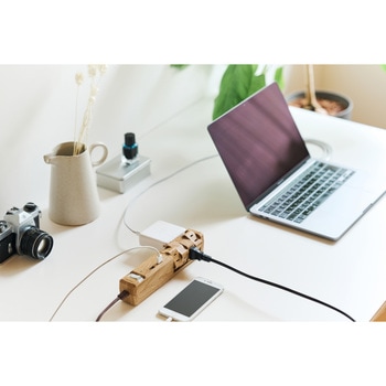 TAPKING USB AC8個口3.4A USB2ポート ベージュウッド Fargo