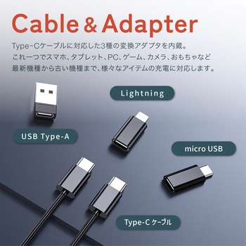 モバイルガジェットキット (収納ケース/USB-Cケーブル/USB-A + microUSB + Lightning変換アダプタ/SIMピン付属・SIM&microSDスロット搭載) AFF WARE