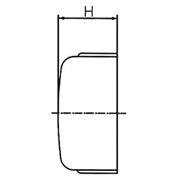 キャップ 可鍛鋳鉄製管継手(白) リケン
