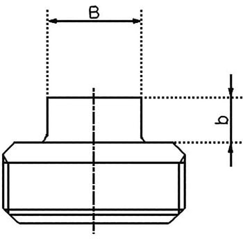 プラグ 可鍛鋳鉄製管継手(白) リケン