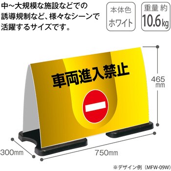 【名入れ】ミセル フラパネル(フル：両面) テラモト