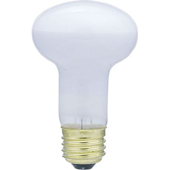 r20 long neck bulb