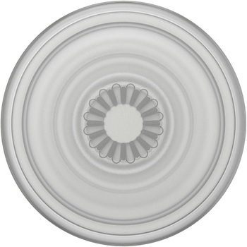 PopGrip Plant Faded Stone POPSOCKETS JAPAN