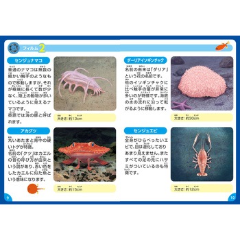 ふしぎな深海のいきものプロジェクター アーテック
