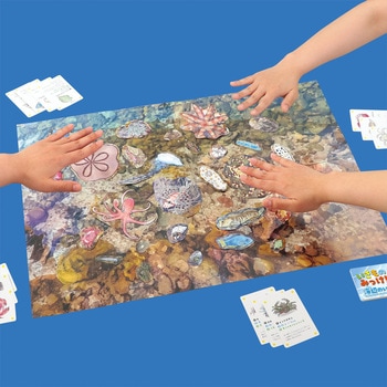 いきものみっけ!かるた うみべのいきもの アーテック[学校教材・教育玩具]