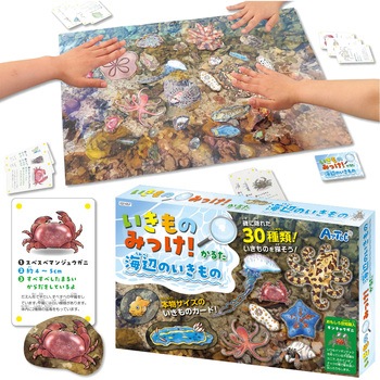 いきものみっけ!かるた うみべのいきもの アーテック[学校教材・教育玩具]