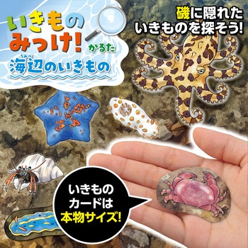 いきものみっけ!かるた うみべのいきもの アーテック[学校教材・教育玩具]