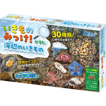 いきものみっけ!かるた うみべのいきもの アーテック[学校教材・教育玩具]