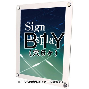 WTW-B1Y EH[CLbvzCg ֐H p 09505765