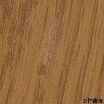 キズなおしま専科 1セット ハウスボックス 通販サイトmonotaro