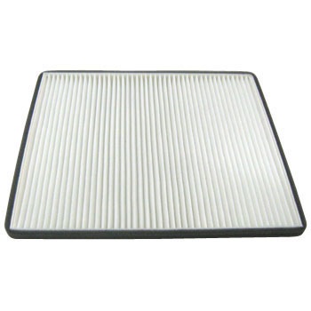 11151 LrtB^[ GCV 09616932