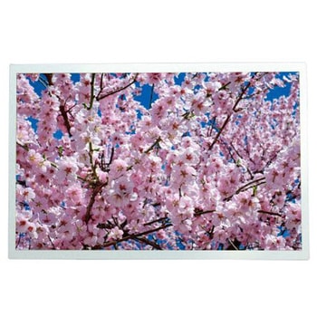 RS PRO TFT 液晶ディスプレイ 12.1インチ TFT， ， 1280 x 800pixels RS PRO