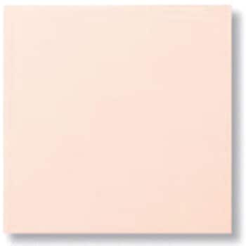 SPKC-100B 1011 �����ǃ^�C�� �~�X�e�B�p���b�g�p�� INAX(LIXIL) 09888875