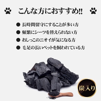 炭入り厚型 ペットシーツ ワイド 200枚入 RABLISS