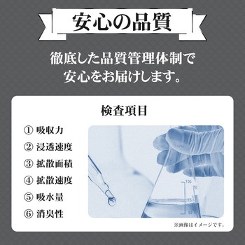 炭入り厚型 ペットシーツ ワイド 200枚入 RABLISS