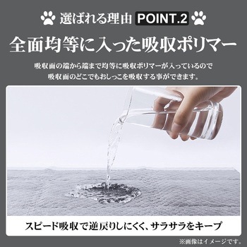 炭入り 厚型 ペットシーツ スーパーワイド 100枚入 RABLISS