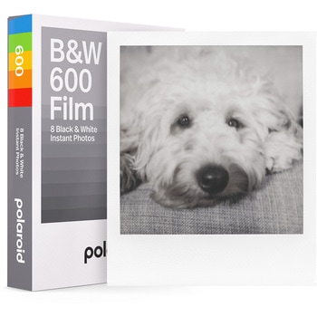 B&W 600 Film White Frame ポラロイド(polaroid)