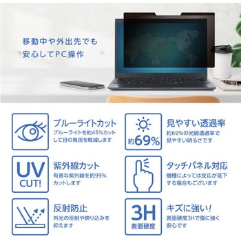 マグネット式のぞき見防止フィルタ14W(16：10) ナカバヤシ